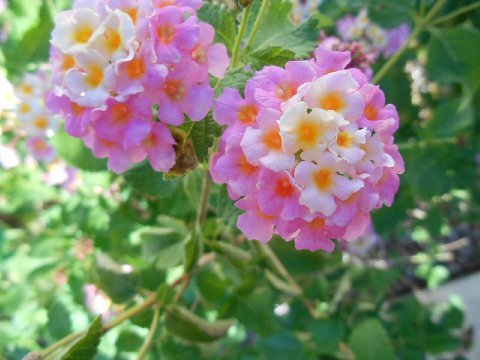DSCN0725MA29631643-0025