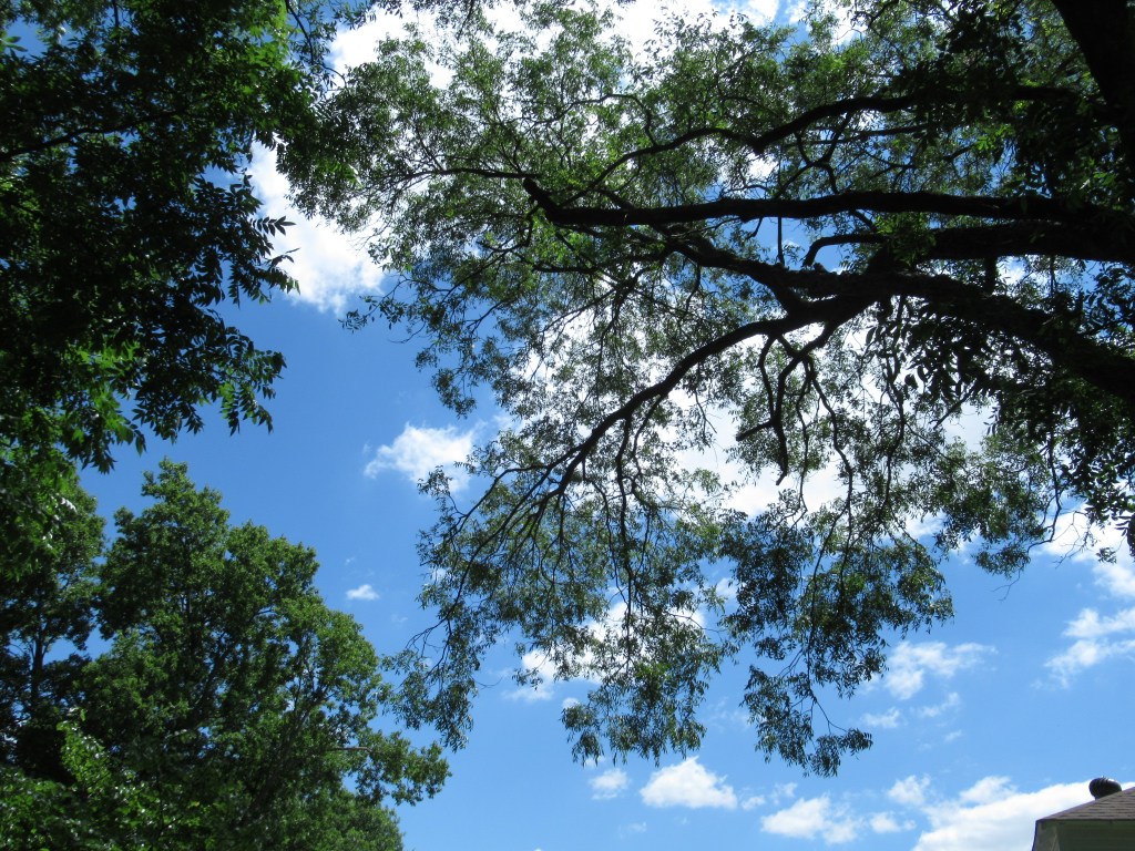 Is a balanced life just a myth ?