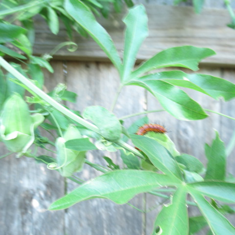 Starting a new year with realistic goals with help from Chat&nbsp;GTP